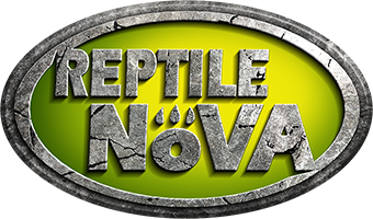 Aqua Reptile
